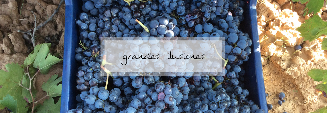 Estones Vins